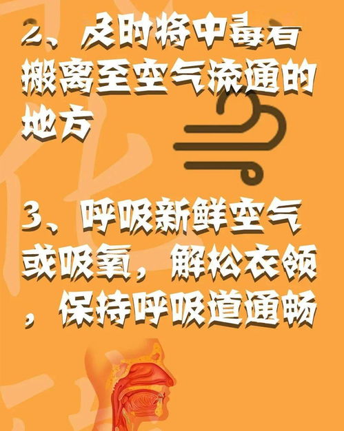 消防安全心中記，平平安安過大年——系列三：消防安全全攻略